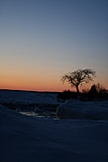 Sunset with tree 3
