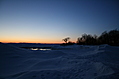 Sunset with tree 4