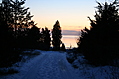 Path to the beach 4