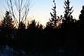 Sunset behind the trees