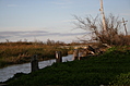 By the water