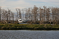Crashed boat 1
