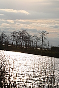 Louisiana Sunset 2