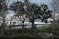 FEMA Camp 3