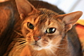 Oh my god I'm out of focus