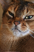 Uh oh, what's this camera thing?