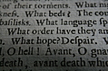 Closeup words 4: What hope? Despair.  O hell!