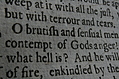 Closeup words 6: O brutish and sensual men, contempt of Gods anger!