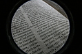 Closeup words 11: company of elect souls (wide-angle fish-eye)