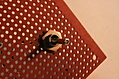 electronic toggle switch 1: front view