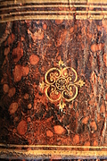 spine decoration 1