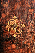 spine decoration 2