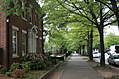 Raleigh street with trees