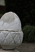 Stone Acorn 2