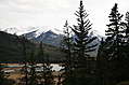 img_2213-500x333.jpg