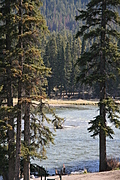 img_2259-333x500.jpg