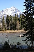 img_2265-333x500.jpg