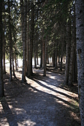Path