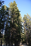 img_2563-333x500.jpg