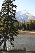 img_2574-333x500.jpg