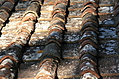 Roof tiles 1