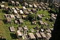Jewish Cemetary 3: field of dreams