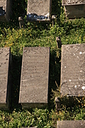 Jewish Cemetary 13: Carolina Essinger