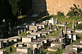 Jewish Cemetary 18: rows of tombs