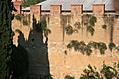 Jewish Cemetary 20: City wall