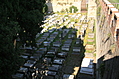 Jewish Cemetary 22: Looking down
