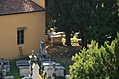 Jewish Cemetary 25: Trees