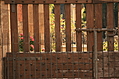 Jewish Cemetary 39: through the gate 2