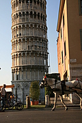 Horse and Carriage 1