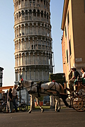 Horse and Carriage 2