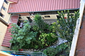 View from the Hotel Window 5