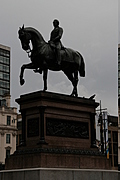 img_6350-333x500.jpg
