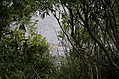 Glimpsing the Moose River