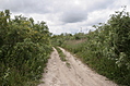 Curved path 2