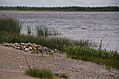 Marshes