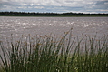 Moose River Sparkles