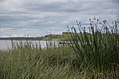 Canoe 2