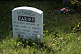 Dead Faries