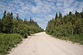 Dirt Road