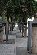 Line of trees 2