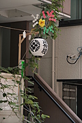 Lantern