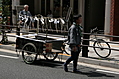 The cart