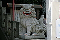Guardian temple lion