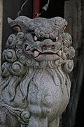 Guardian temple lion on the other side
