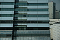 Skyscraper windows