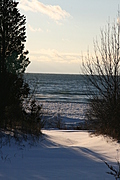 Down to the beach